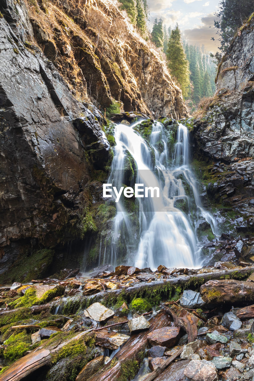 view of waterfall in forest