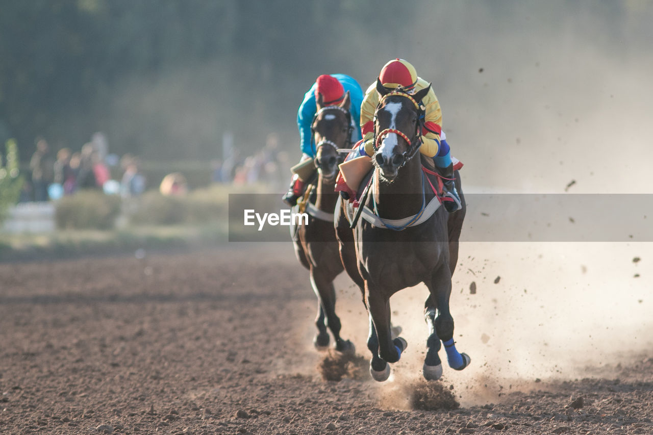 Men riding horses on field