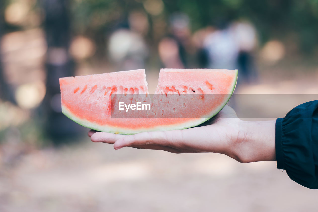 Cropped hand holding watermelon