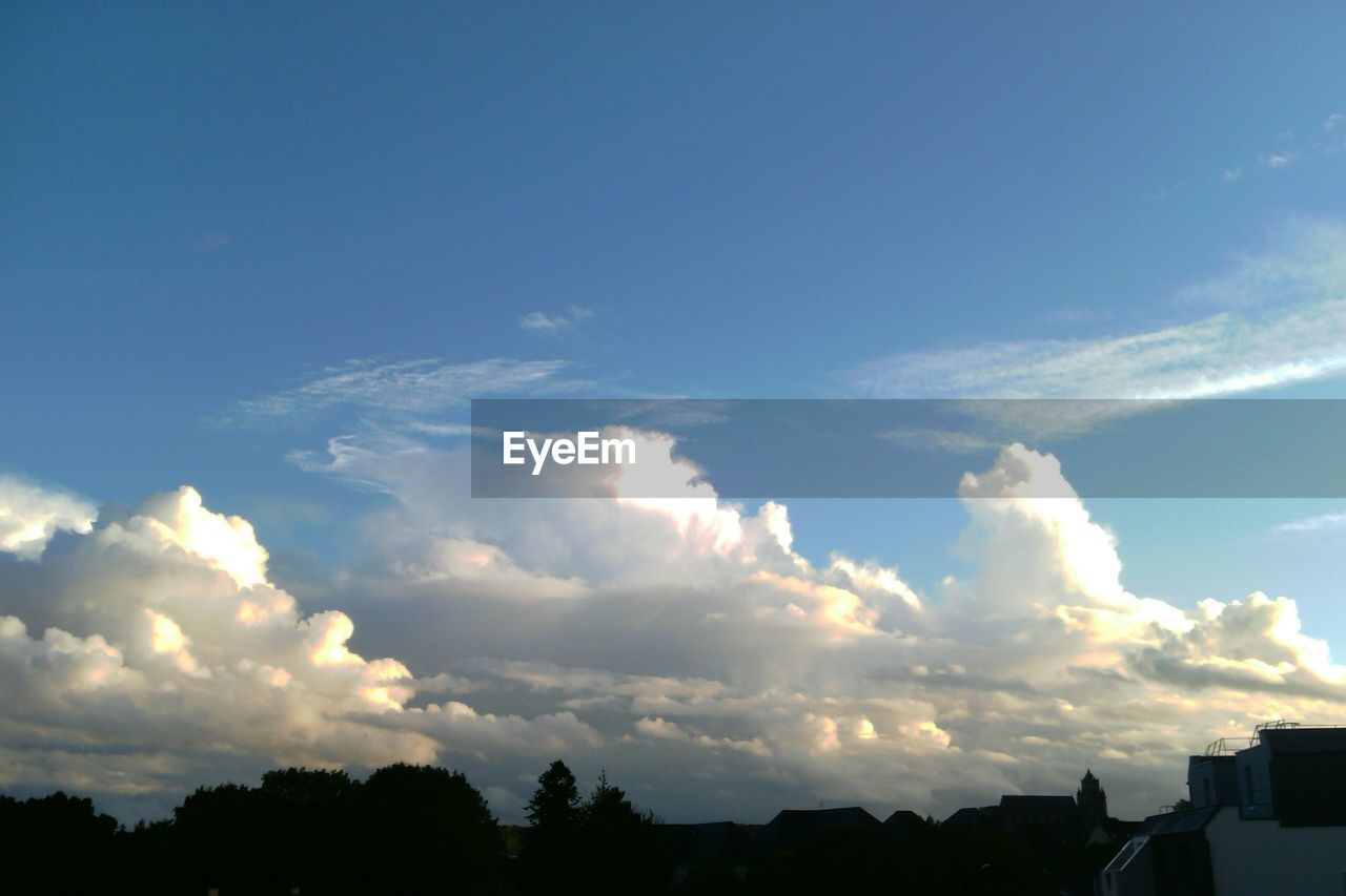 LOW ANGLE VIEW OF TREES AGAINST CLOUDY SKY