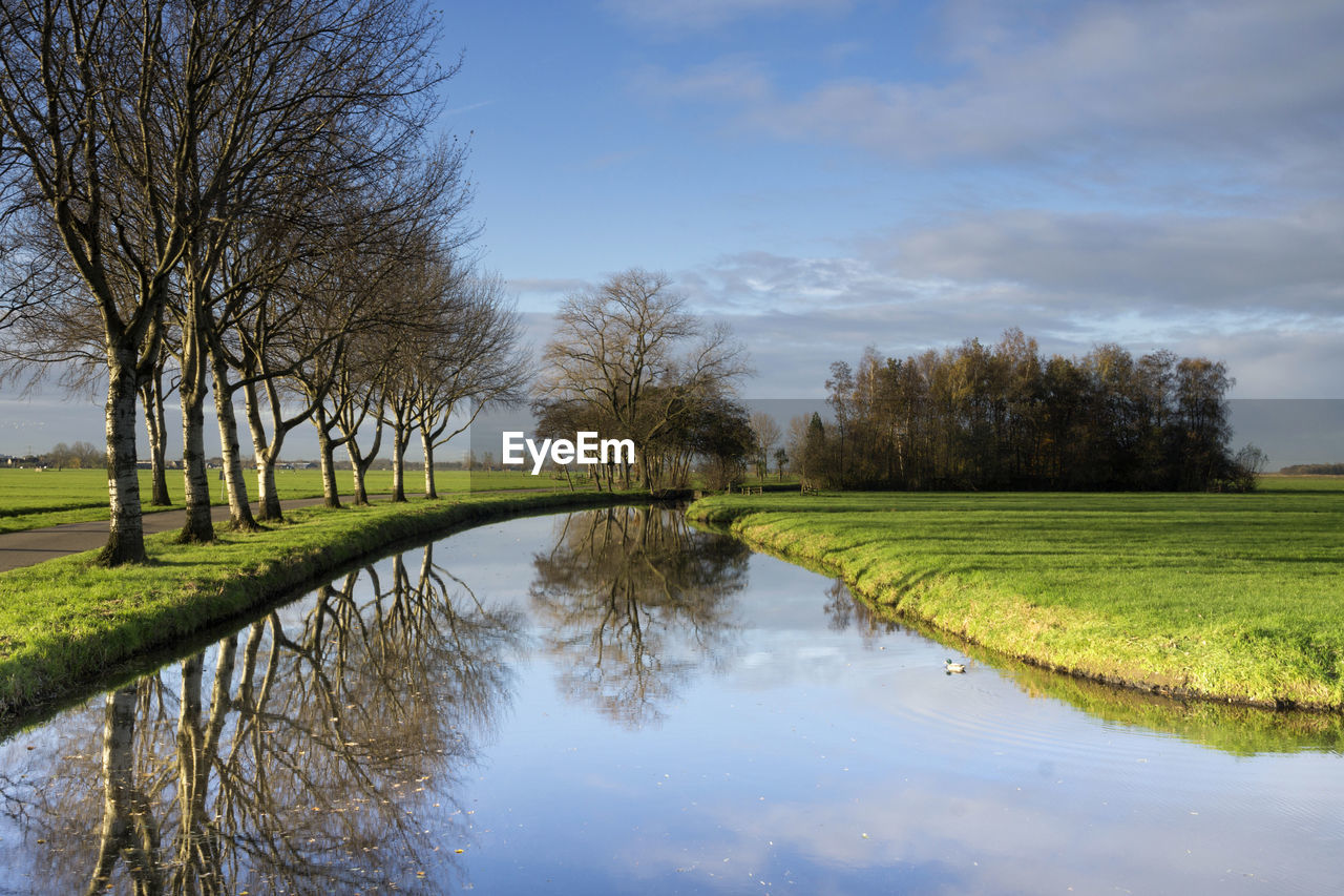 SCENIC VIEW OF LAKE AND TREES AGAINST SKY