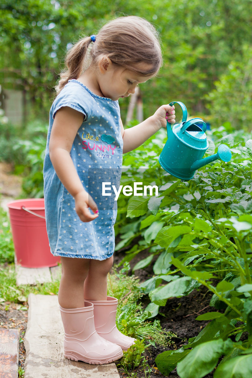 Full length of cute girl watering plants outdoors