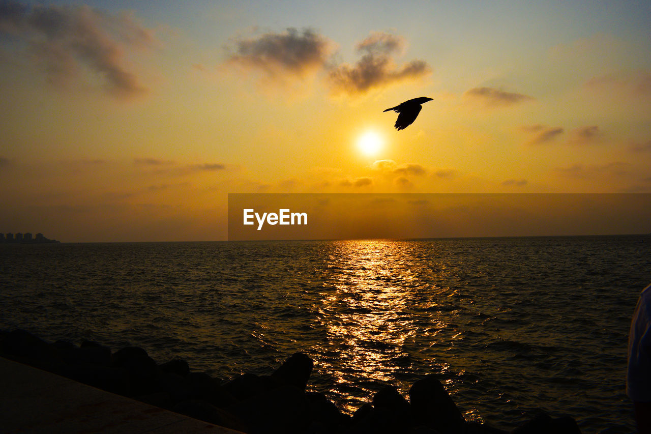 SILHOUETTE BIRD FLYING OVER SEA AGAINST SKY