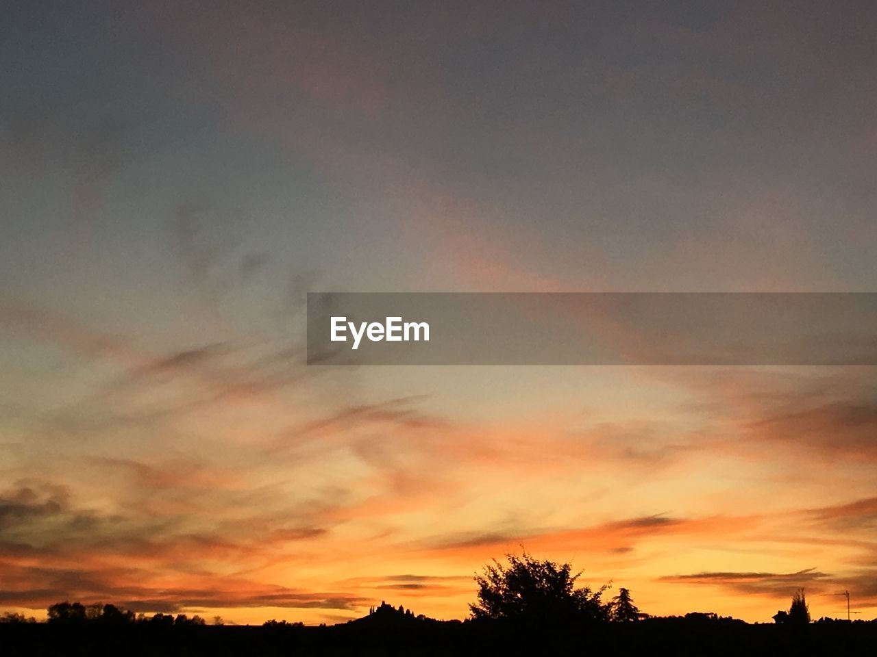 LOW ANGLE VIEW OF SILHOUETTE TREES AGAINST ROMANTIC SKY