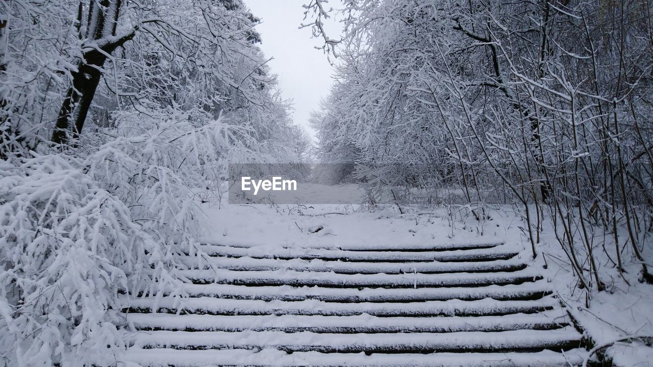 SNOW COVERED LAND
