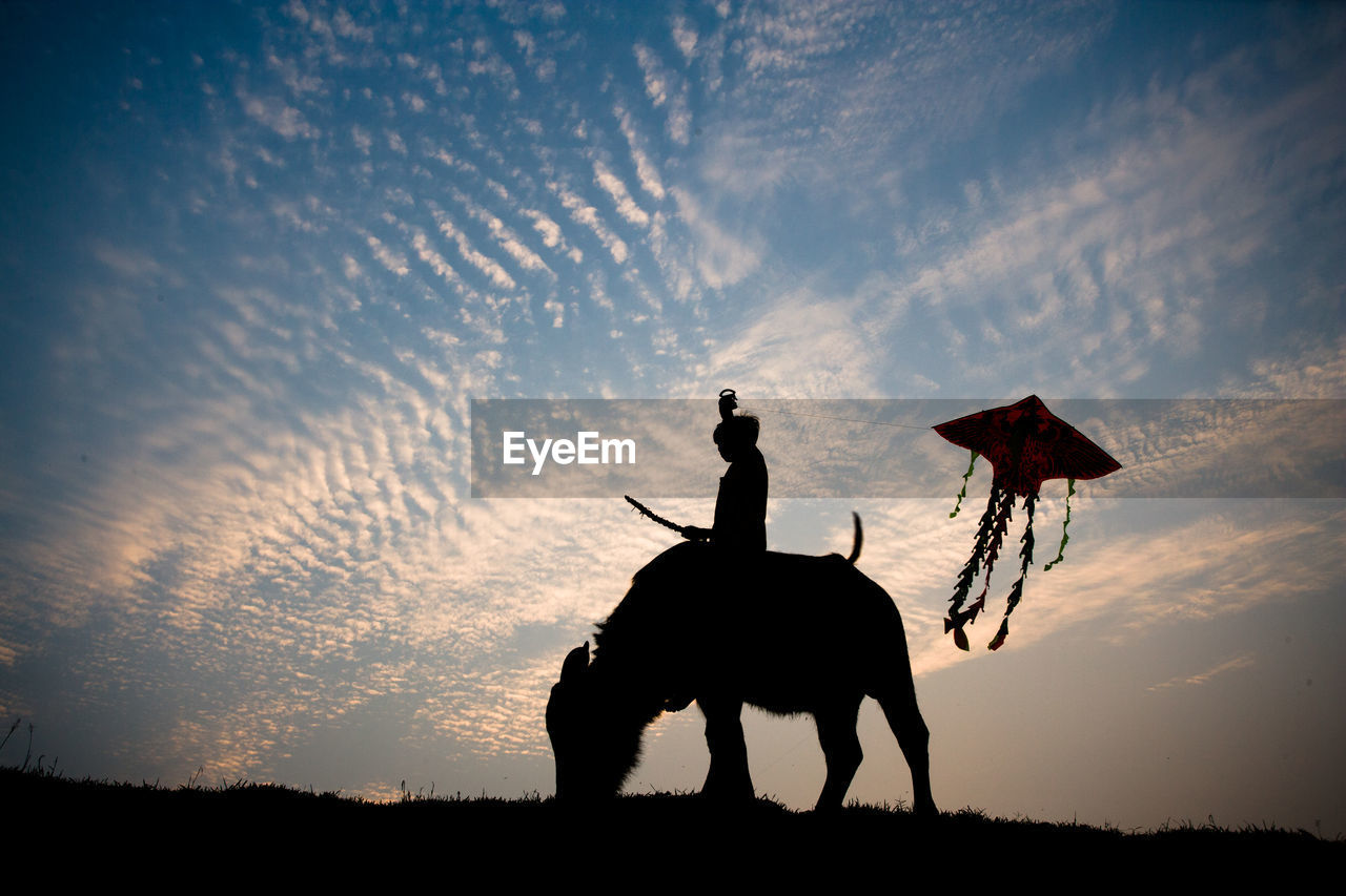 Silhouette boy standing by dog on field against sky during sunset