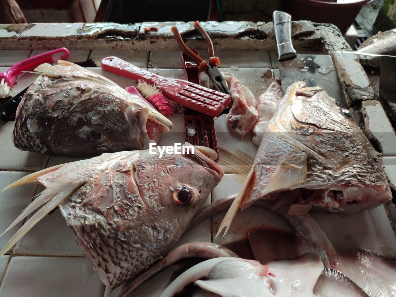 Close-up of fish for sale at market stall