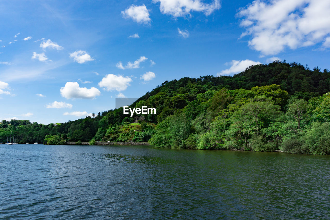 SCENIC VIEW OF RIVER BY TREE AGAINST SKY