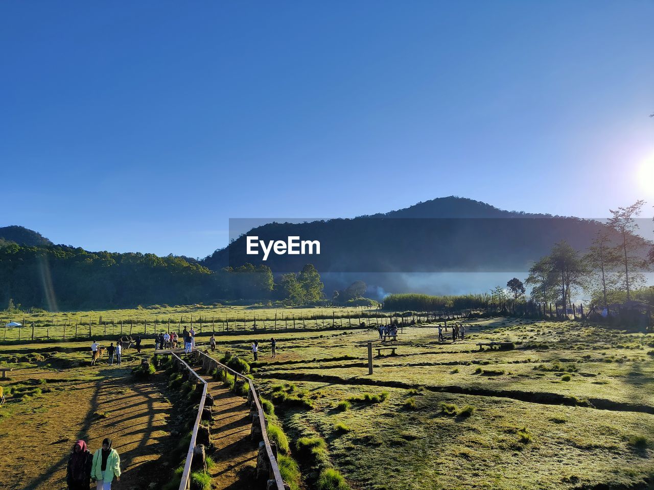 Panoramic view of agricultural field against sky