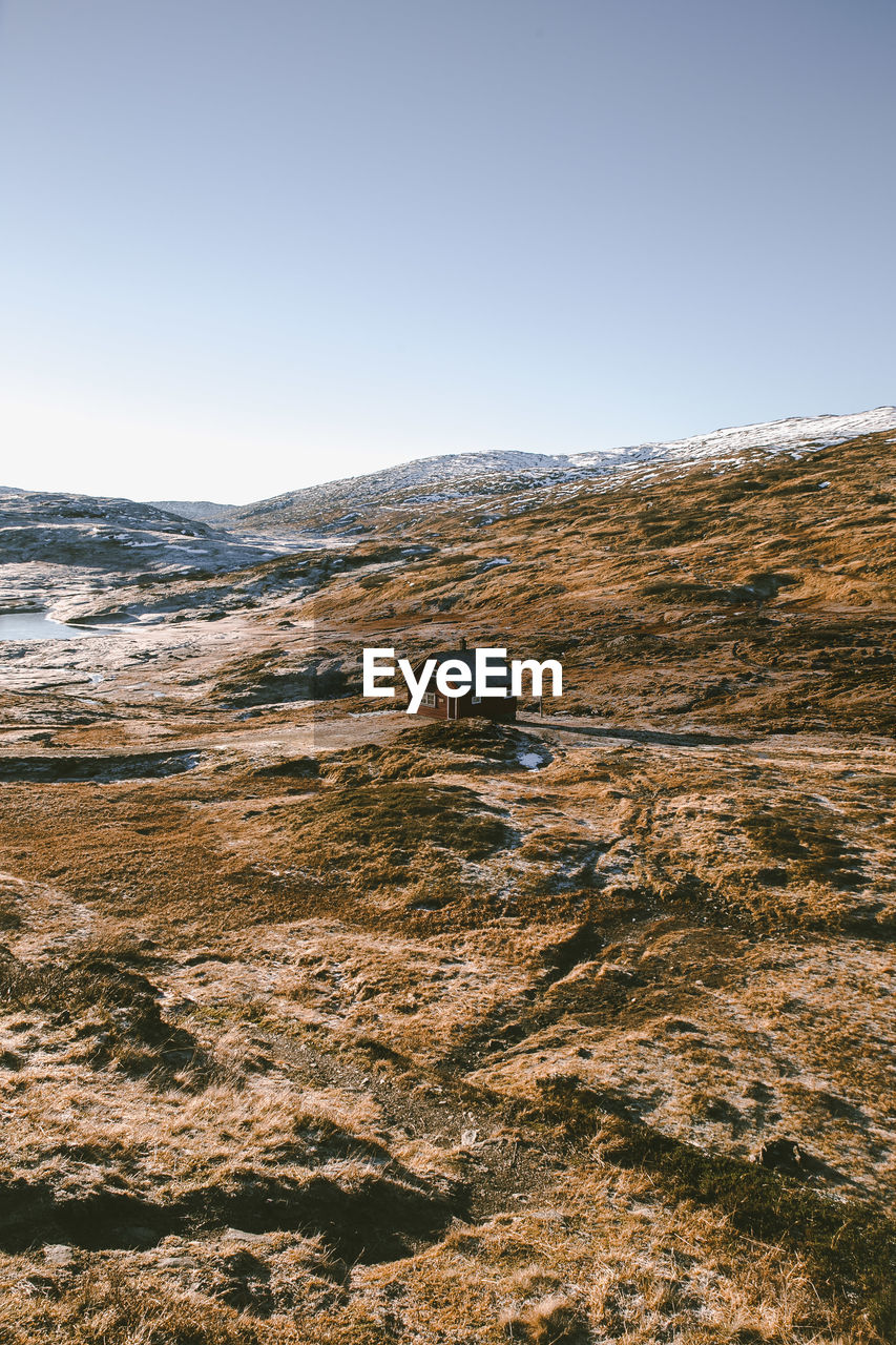 scenic view of field against clear sky