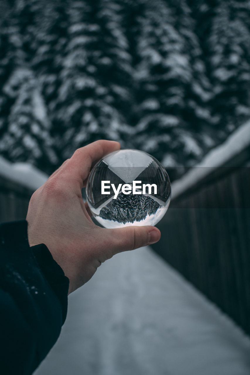 Close-up of person holding crystal ball against snow covered trees during winter