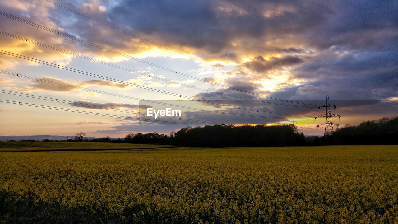SCENIC VIEW OF AGRICULTURAL FIELD AGAINST SKY DURING SUNSET