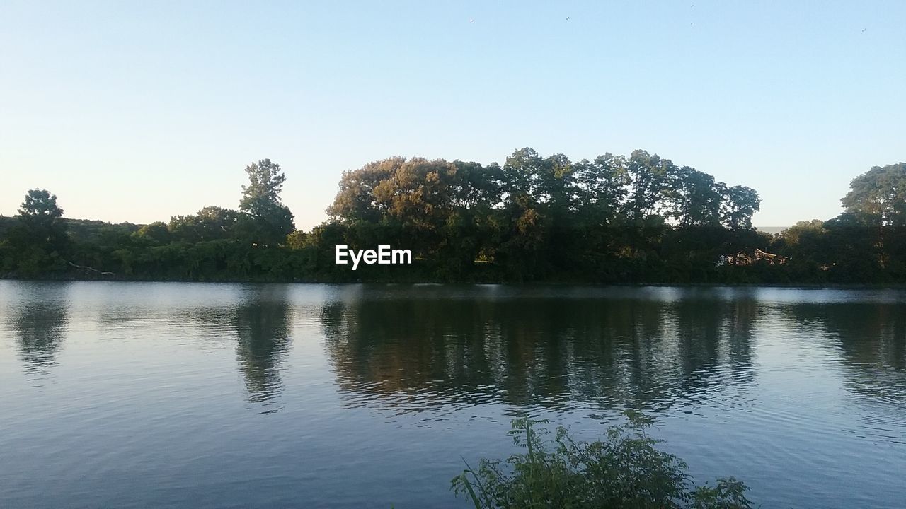 TREES BY LAKE AGAINST CLEAR SKY