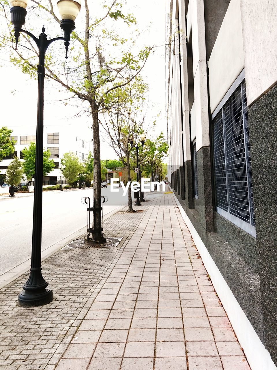 WALKWAY LEADING TOWARDS BUILDING