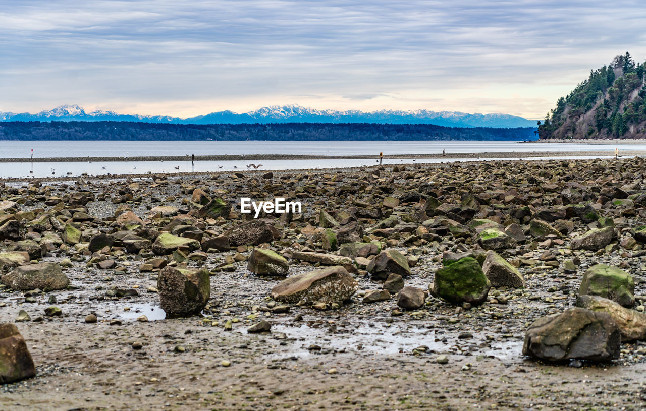 shore, water, sea, coast, sky, body of water, nature, land, scenics - nature, environment, rock, beauty in nature, landscape, cloud, mountain, tranquility, beach, ocean, no people, tranquil scene, travel, bay, travel destinations, plant, day, wilderness, outdoors, non-urban scene, snow, tourism, pebble, tree, natural environment, coastline, stone, cold temperature