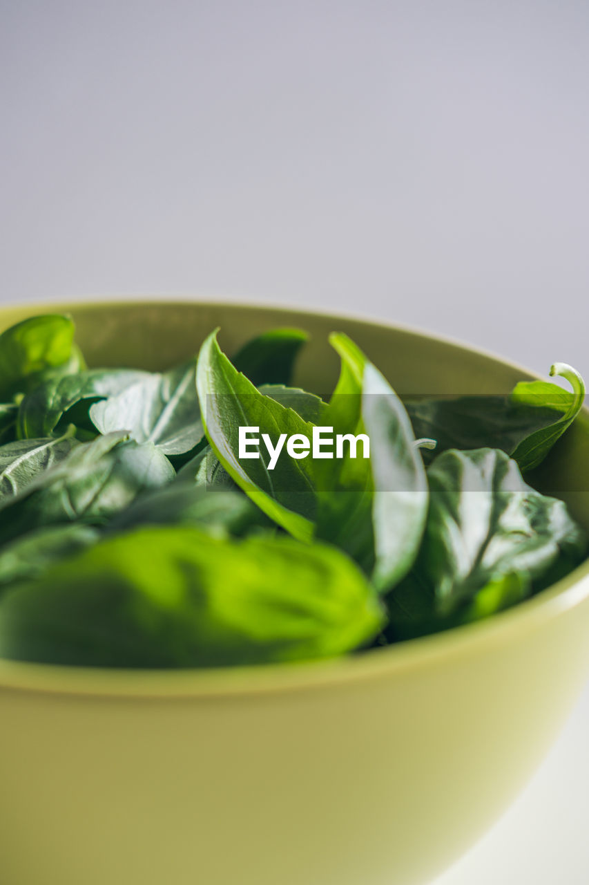 Close-up of basil in bowl