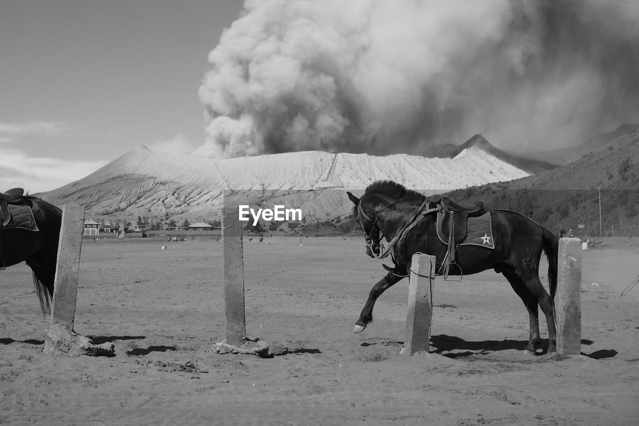 SMOKE EMITTING FROM VOLCANIC MOUNTAIN