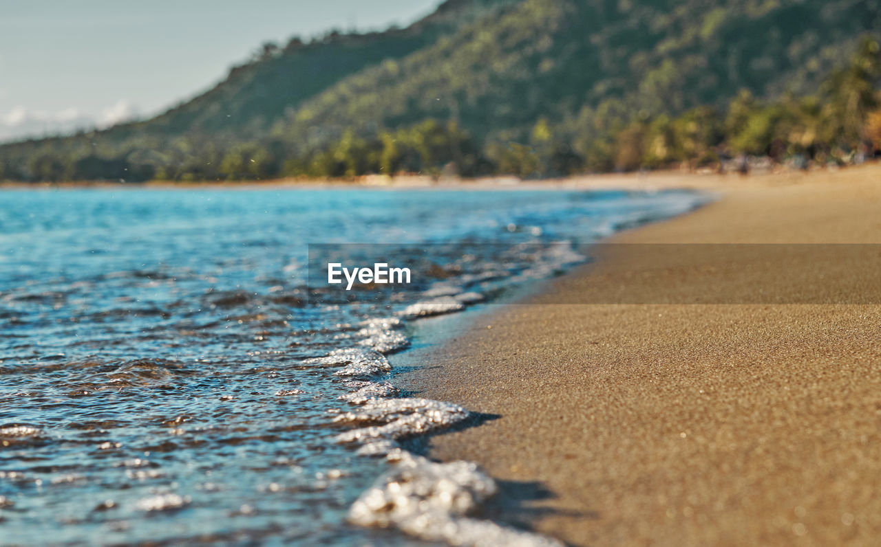 SURFACE LEVEL OF SEA SHORE AGAINST TREES