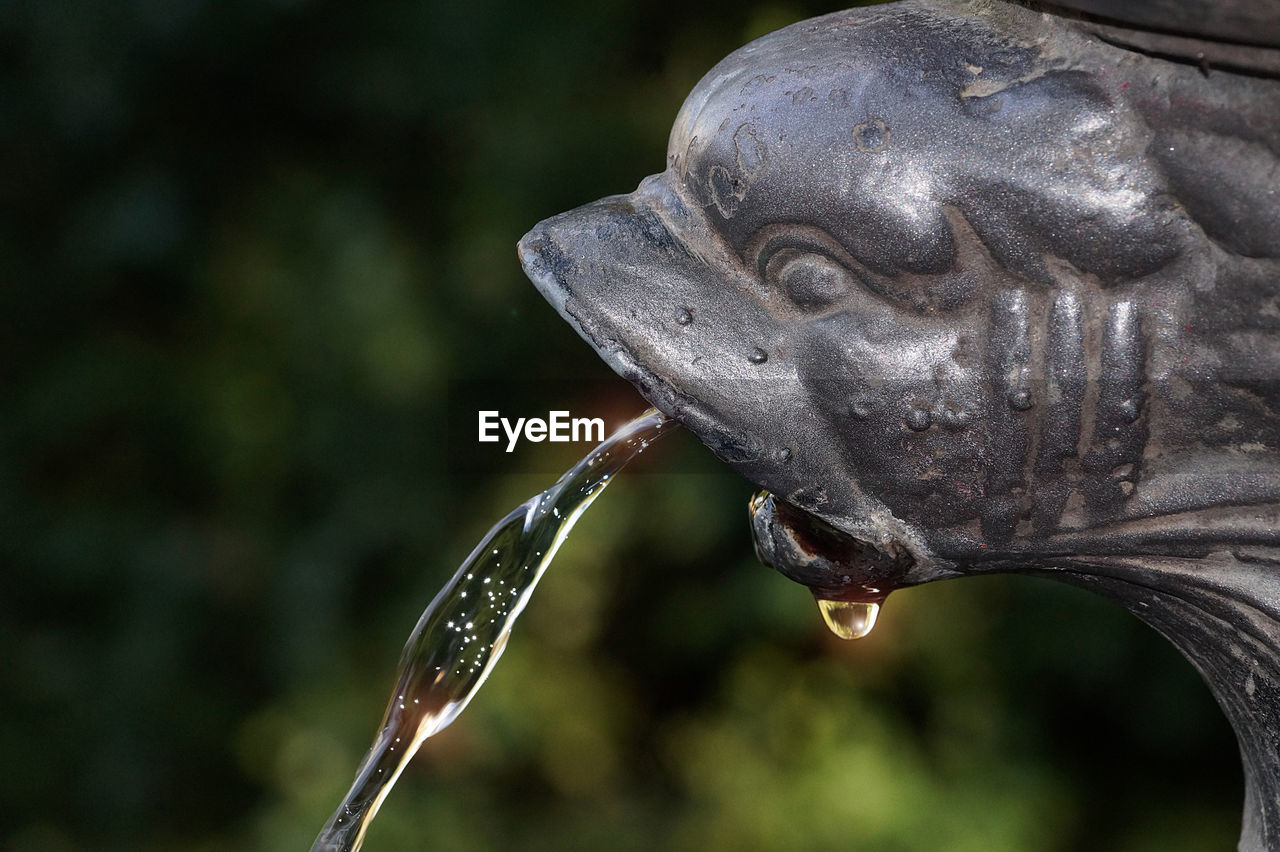 Close-up of water fountain in garden