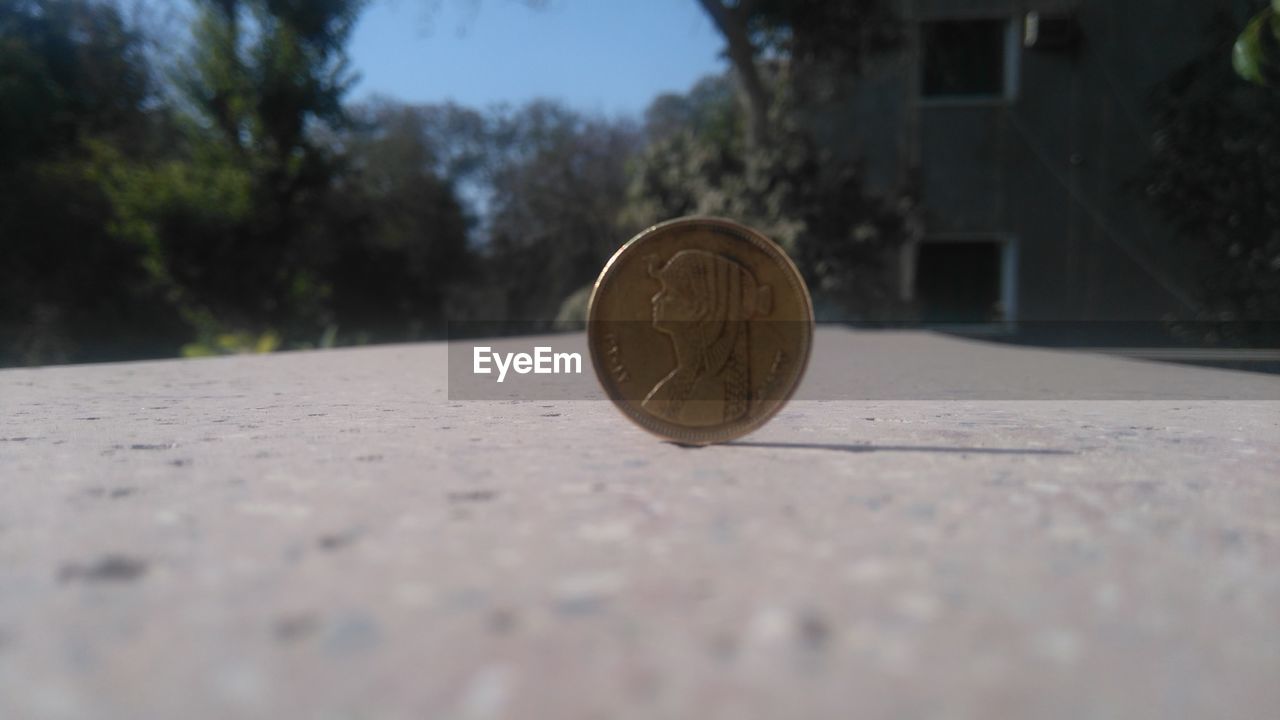 CLOSE-UP VIEW OF COIN ON TREE