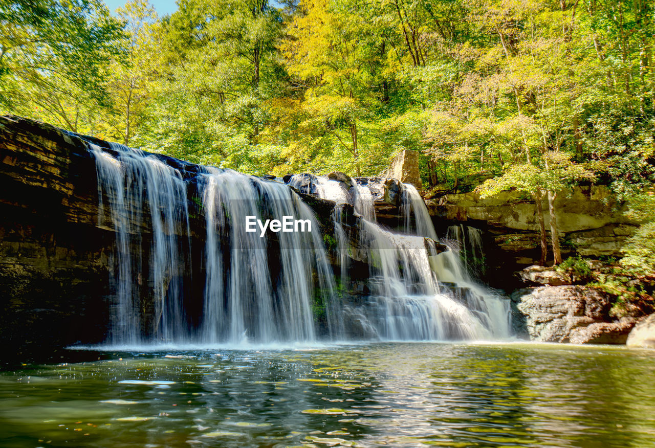 VIEW OF WATERFALL IN FOREST