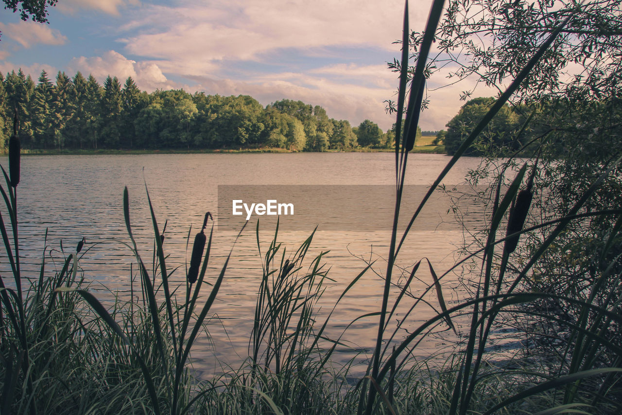 SCENIC VIEW OF LAKE