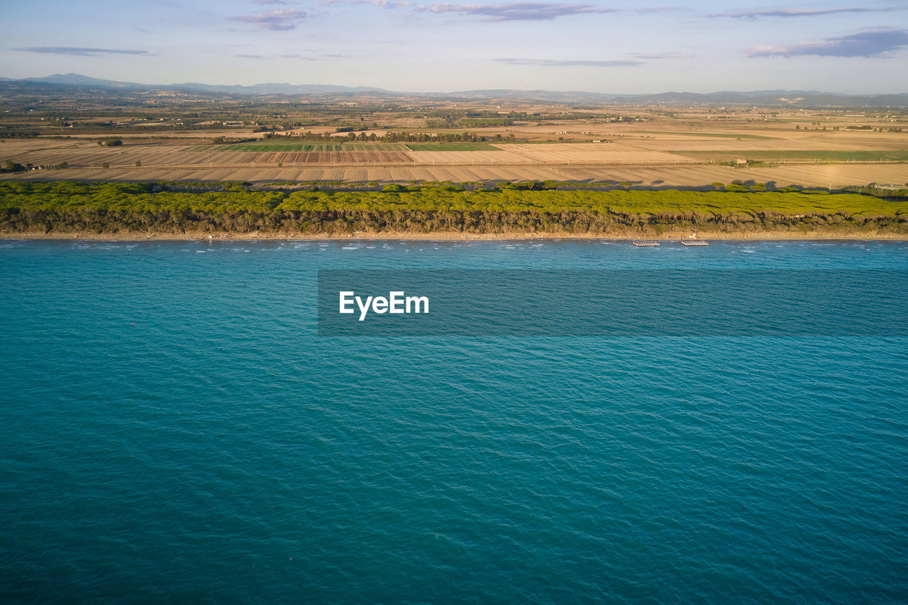 Aerial view of the marine coast with pine forest of albinia tuscany