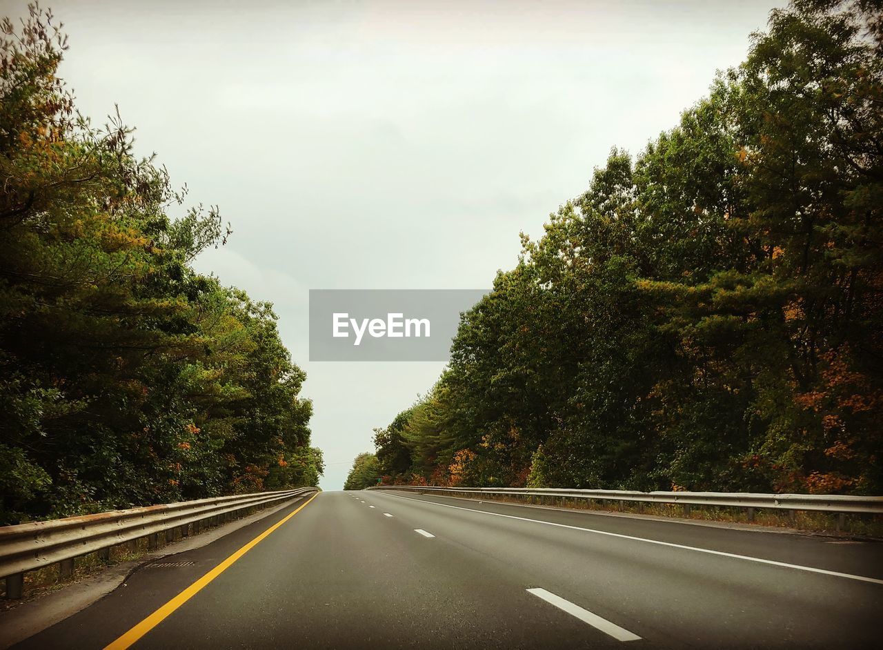 empty road by trees against sky