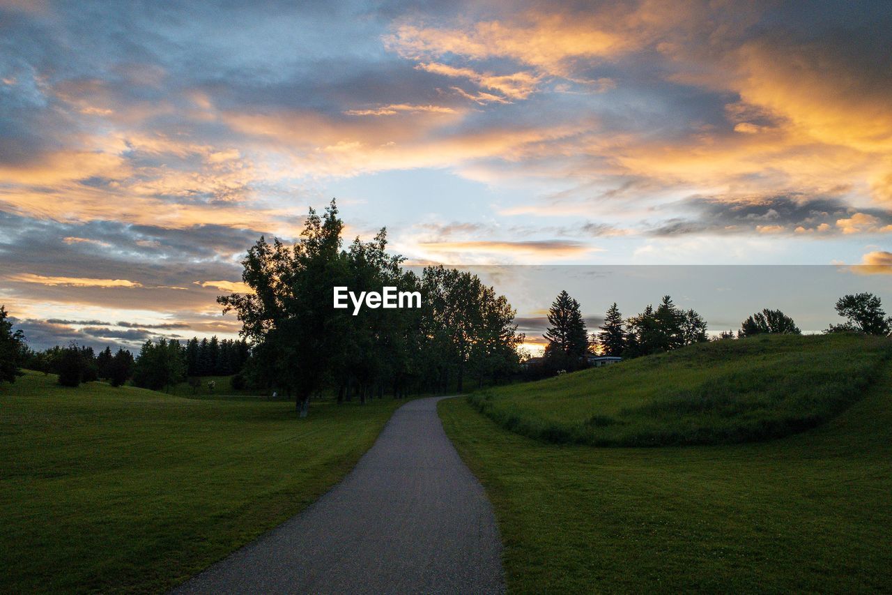 Wide angle view of an empty park in the morning