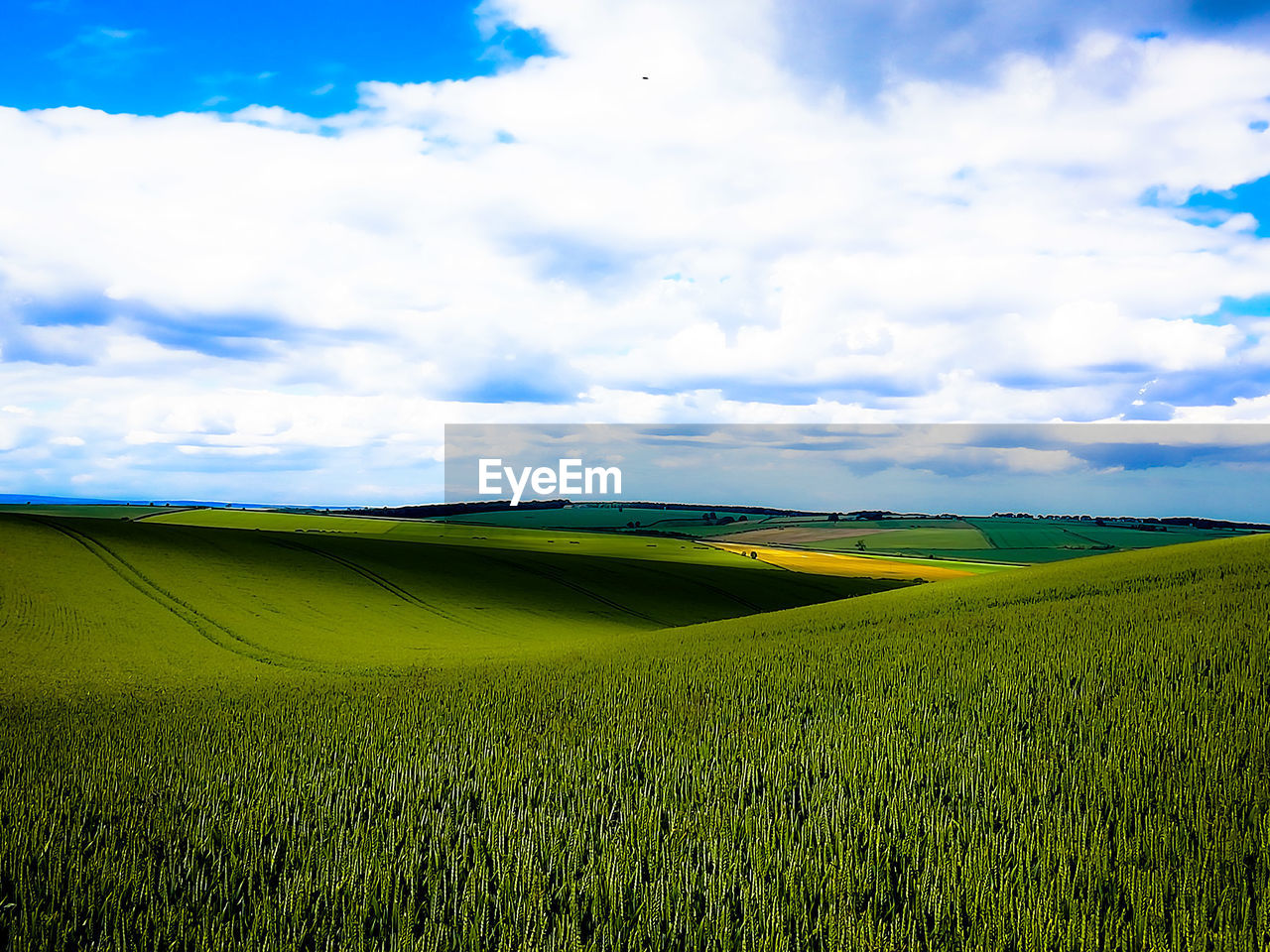 Scenic view of agricultural field against sky