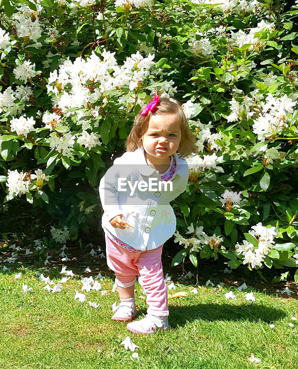 Full length portrait of girl standing plants at yard