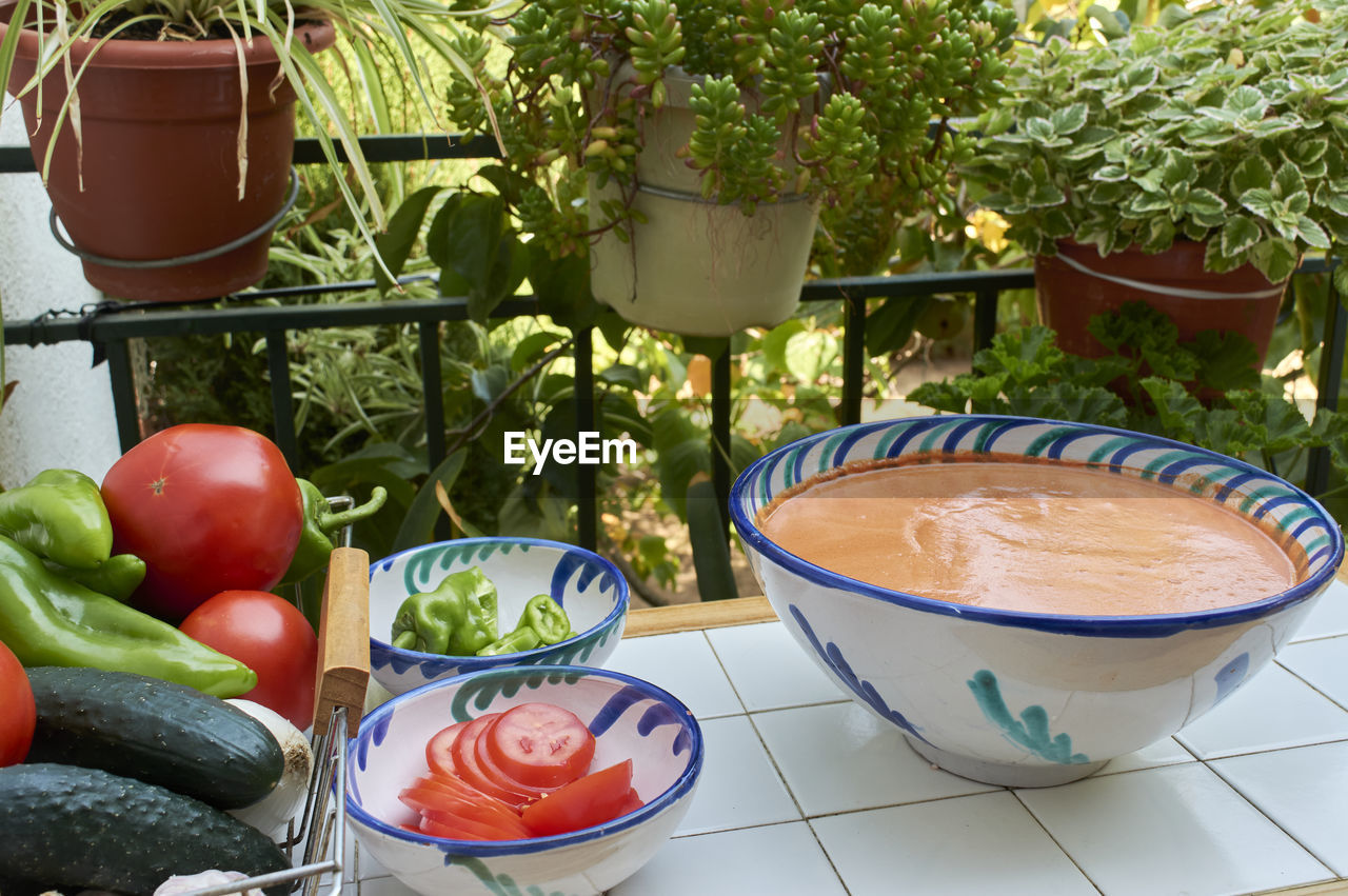 Gazpacho, some ingredient to prepare, a rustic table,  in traditional andalusian glazed ceramic 