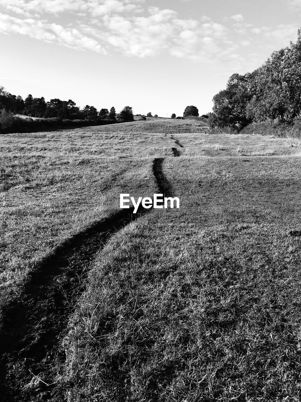 SCENIC VIEW OF FARM AGAINST SKY