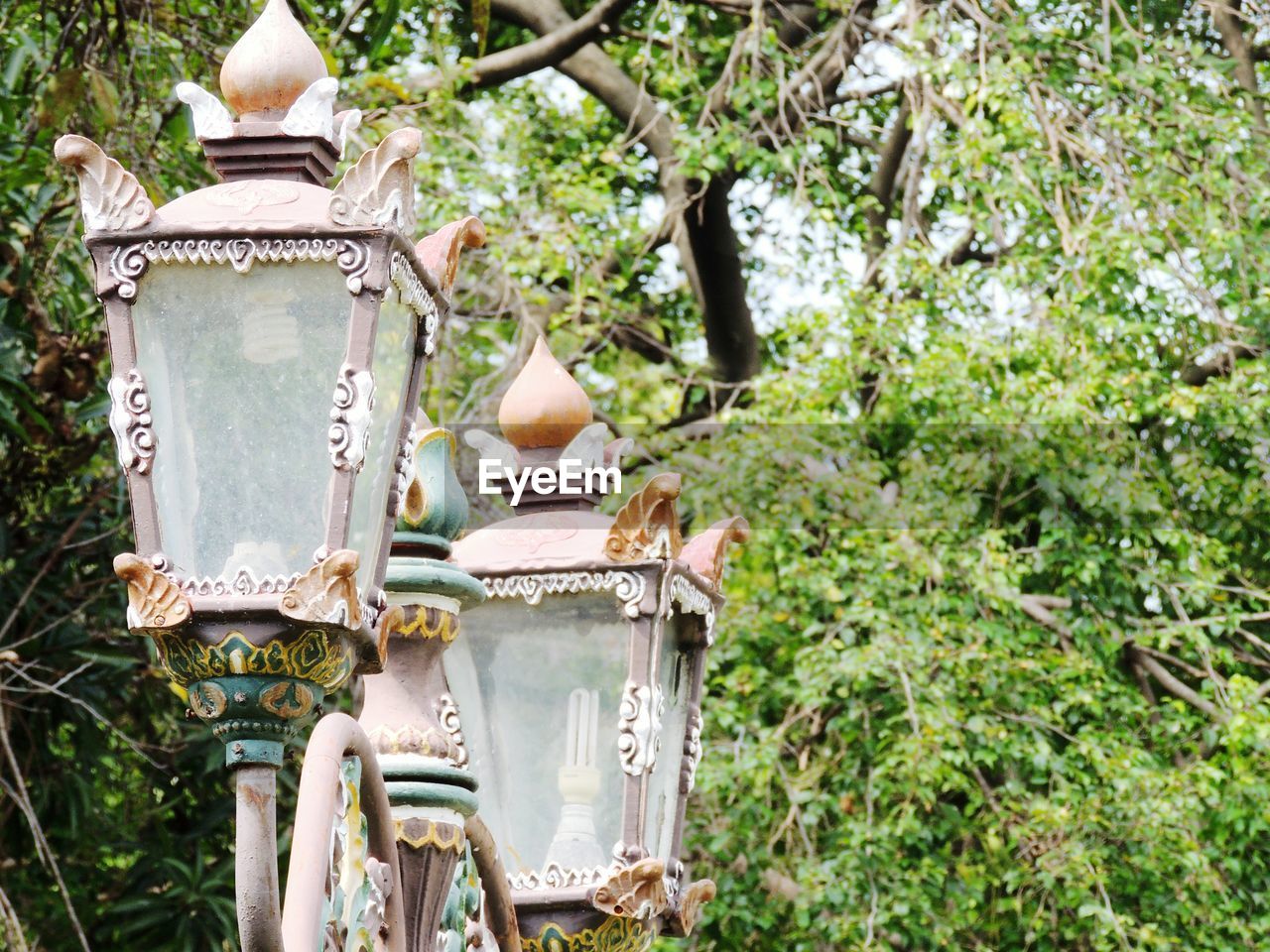 Low angle view of gas lights against trees