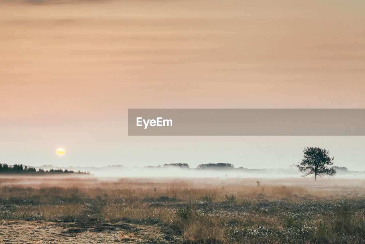 Scenic view of field against sky at sunset