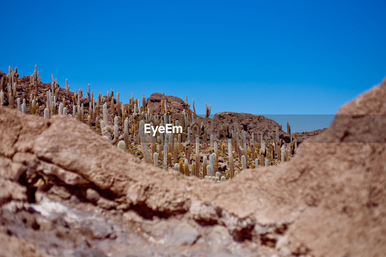 View of arid landscape against clear blue sky