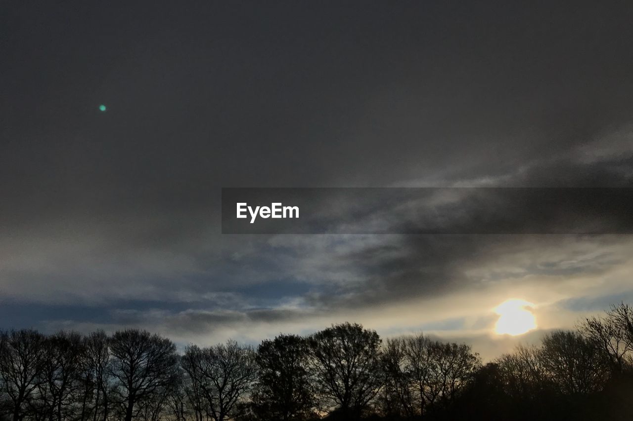 LOW ANGLE VIEW OF SILHOUETTE BARE TREES AGAINST SKY