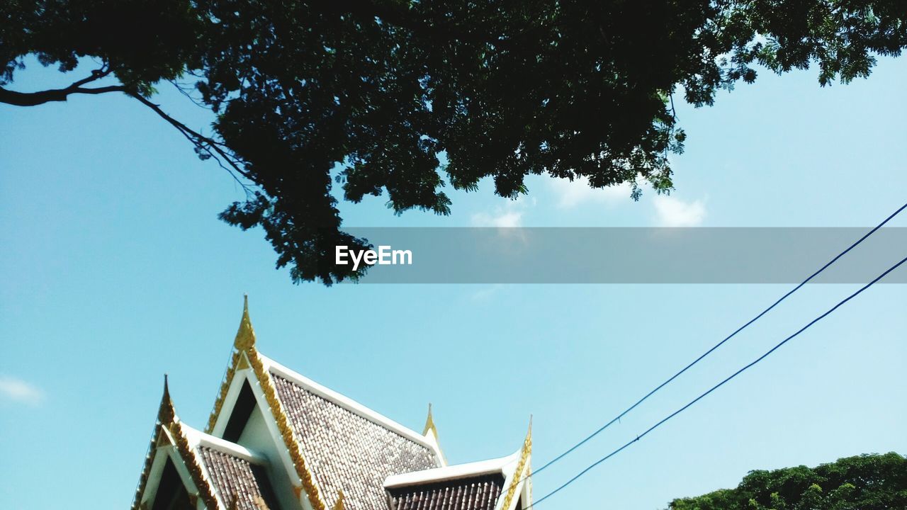 LOW ANGLE VIEW OF TREE AGAINST BLUE SKY