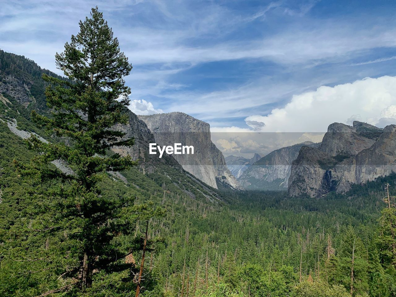 Scenic view on yosemite valley from the tunnel view point