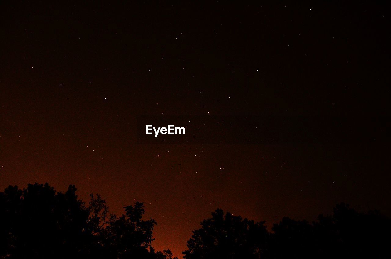 Low angle view of silhouette trees against sky at dusk