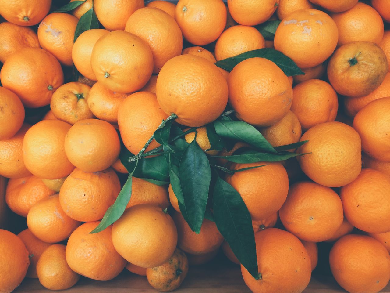 Close-up of oranges