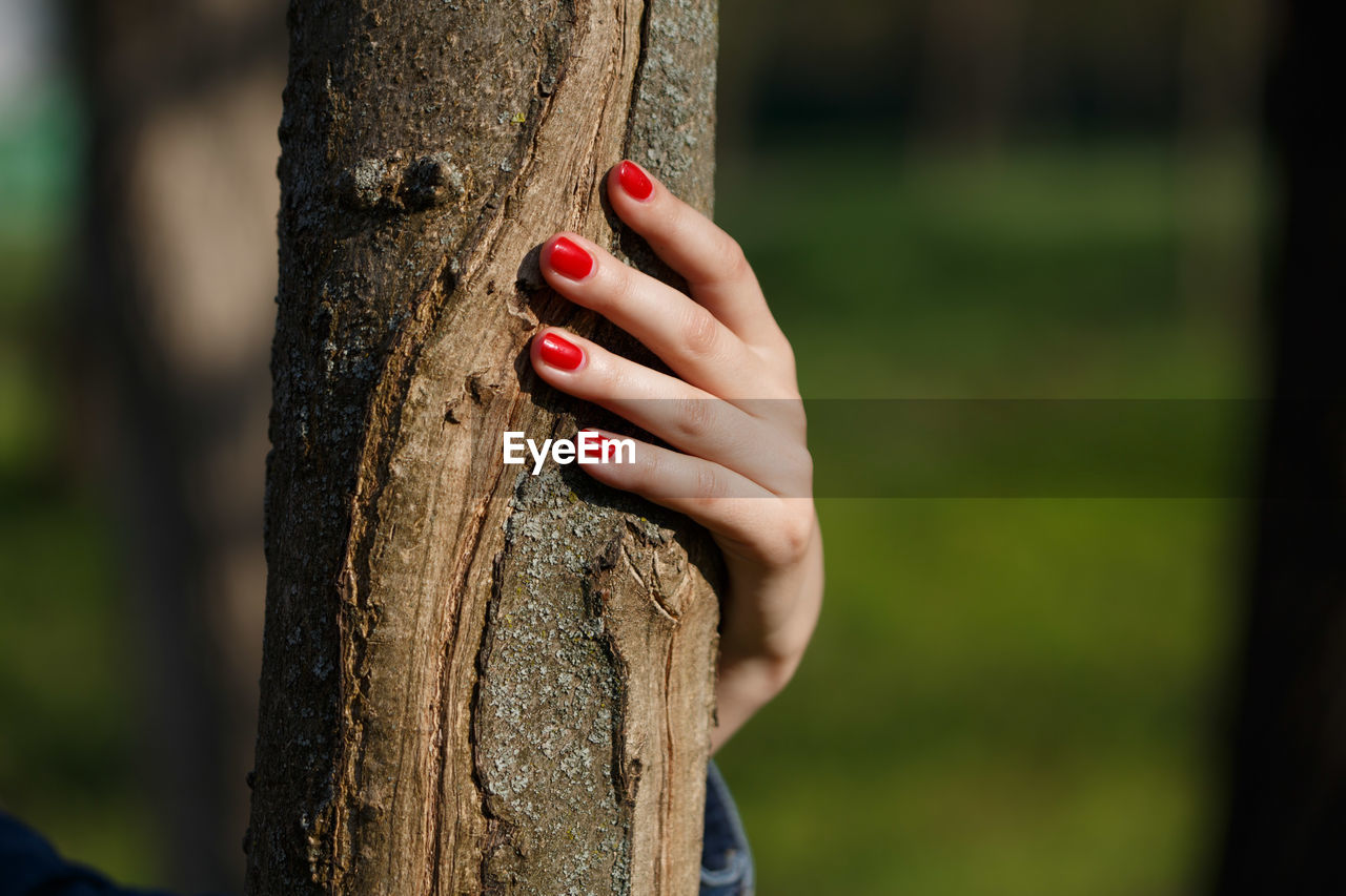 Close-up of woman hand on tree trunk