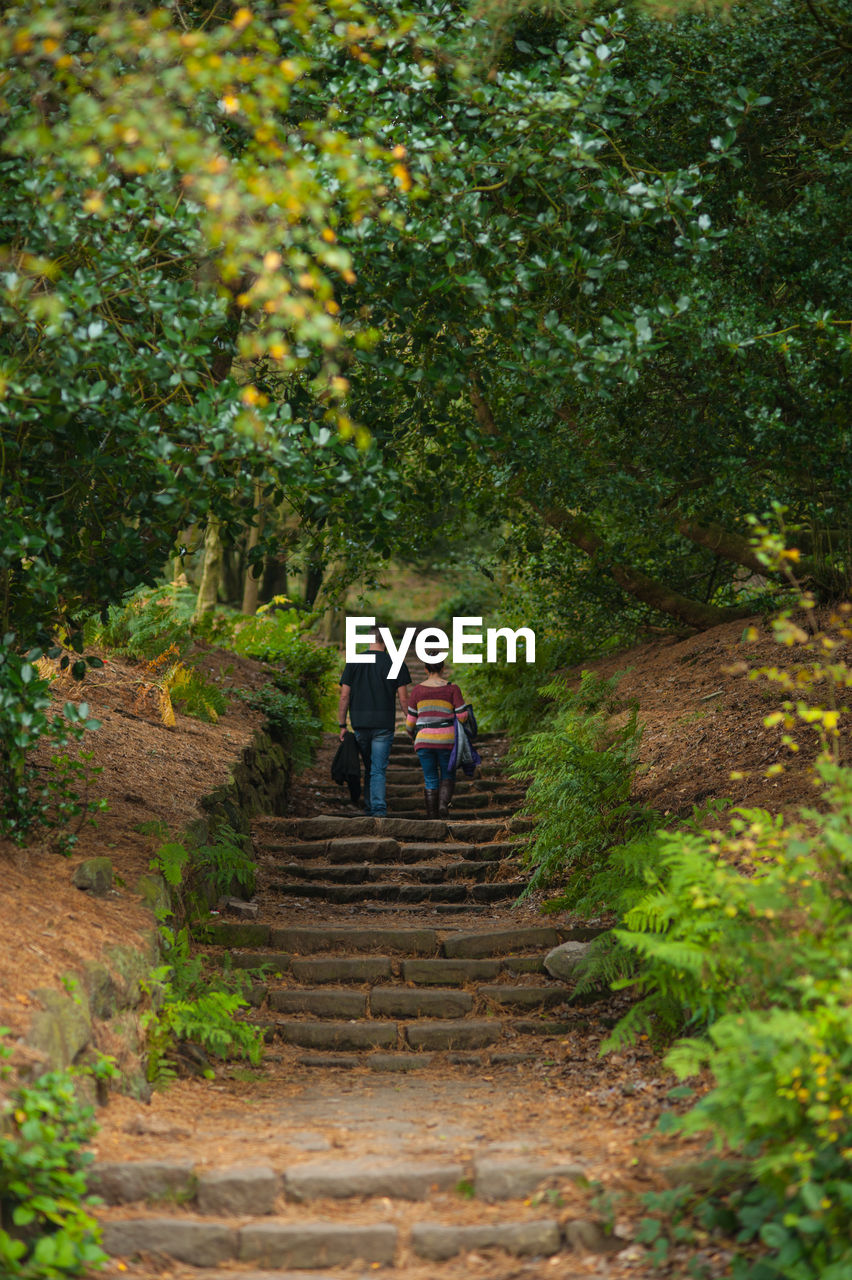 People walking on steps amidst trees