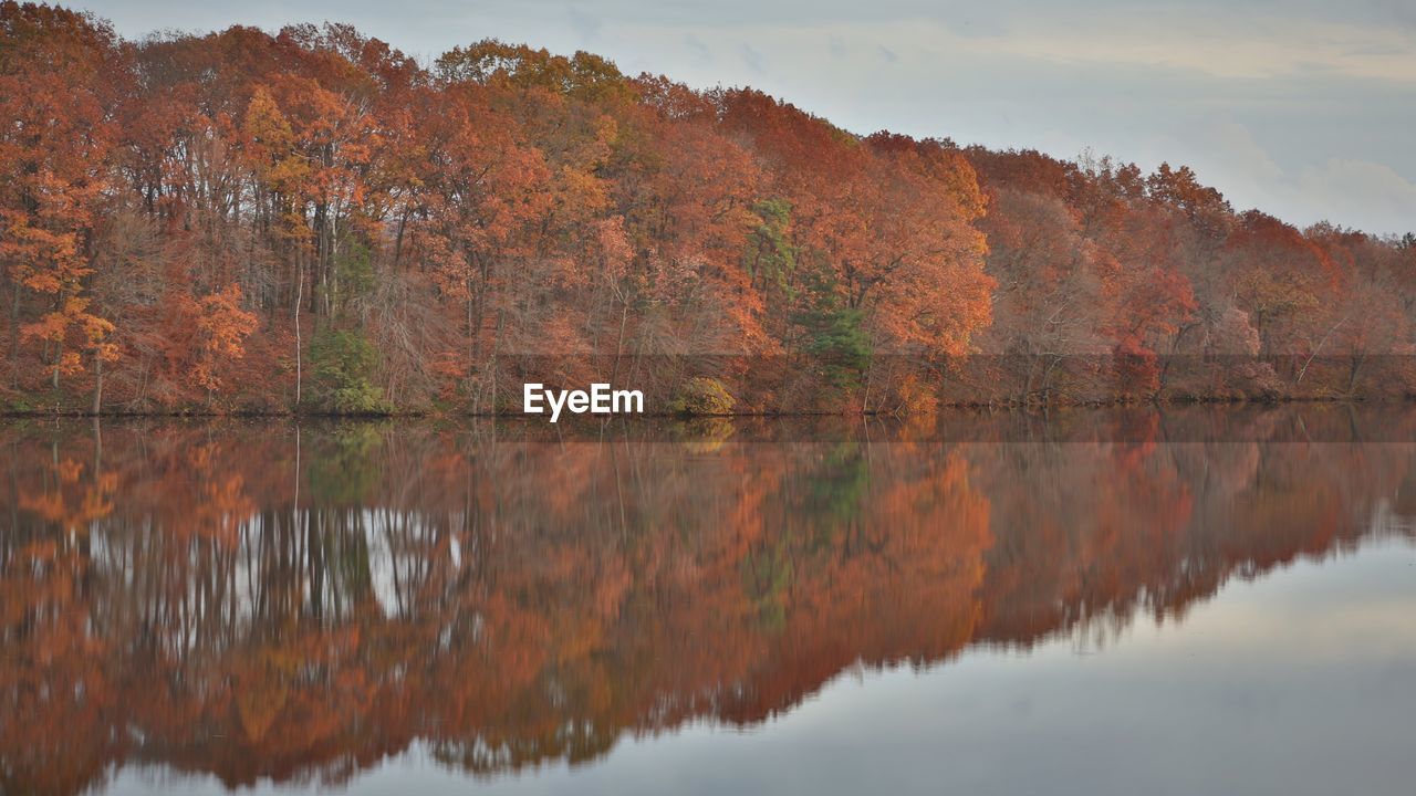 REFLECTION OF TREES ON LAKE AGAINST SKY DURING AUTUMN