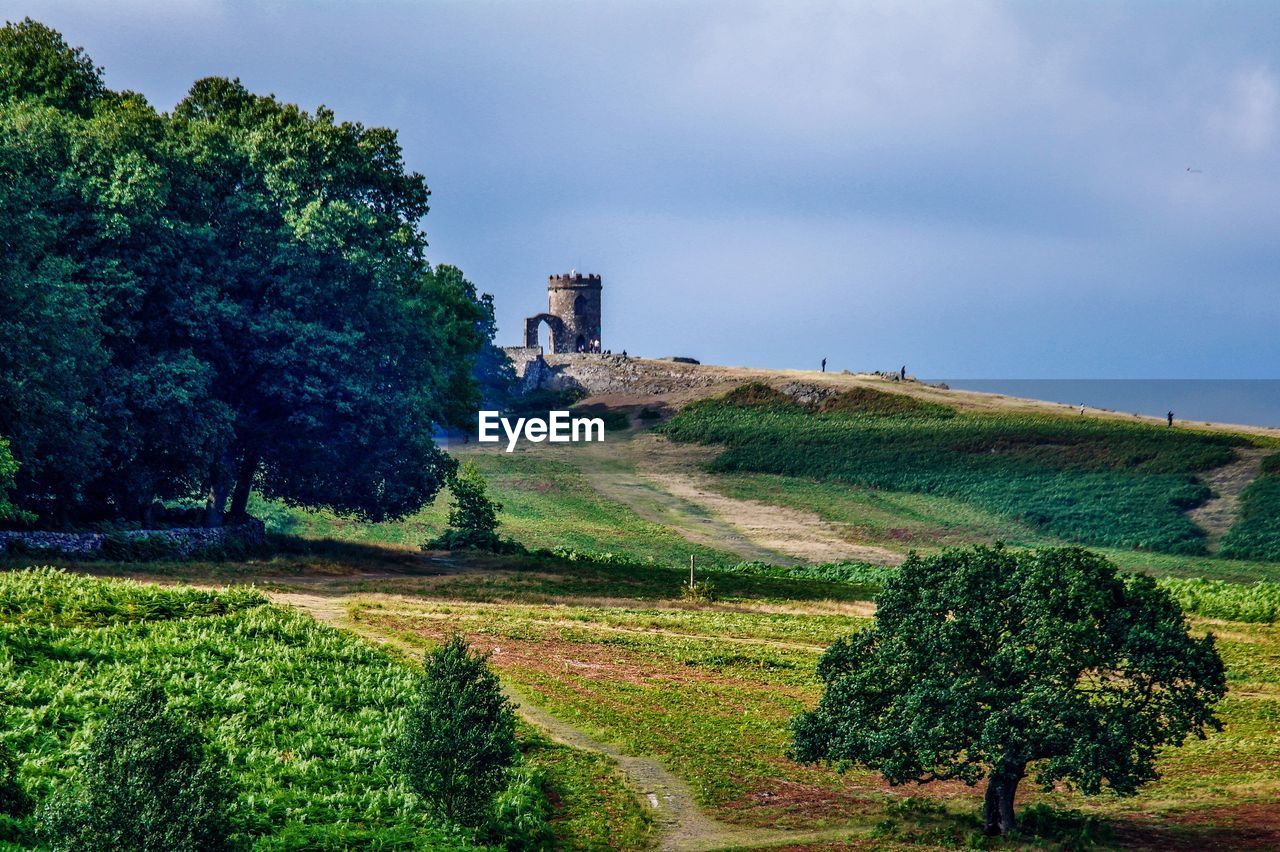 Scenic view of grassy field against sky