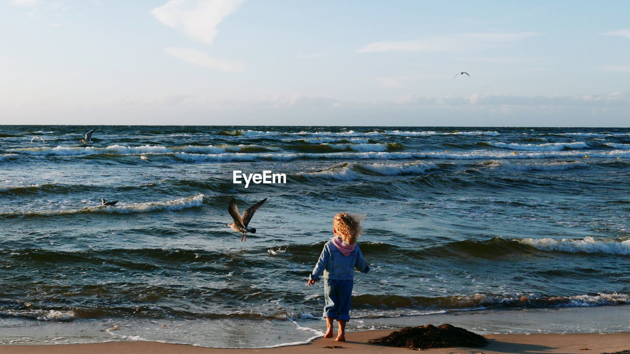 Rear view of little girl standing at beach against sky. flying seagull