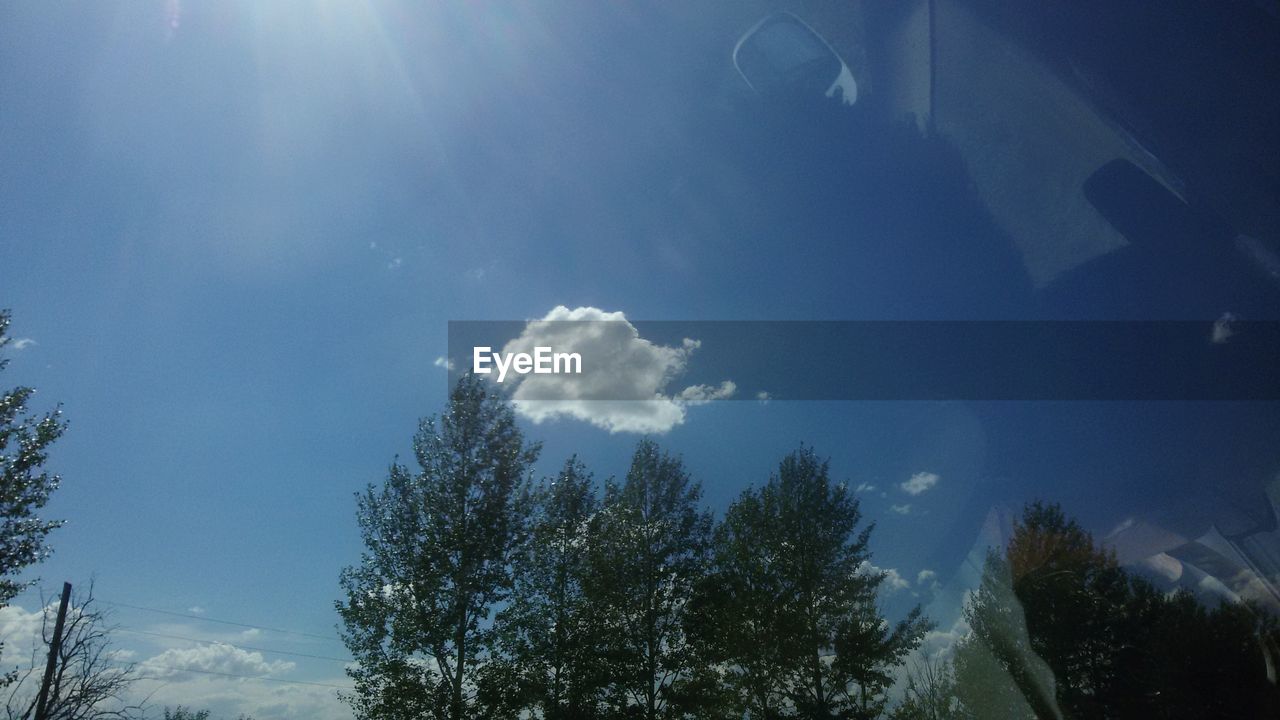 LOW ANGLE VIEW OF BLUE SKY AND TREES AGAINST THE BACKGROUND