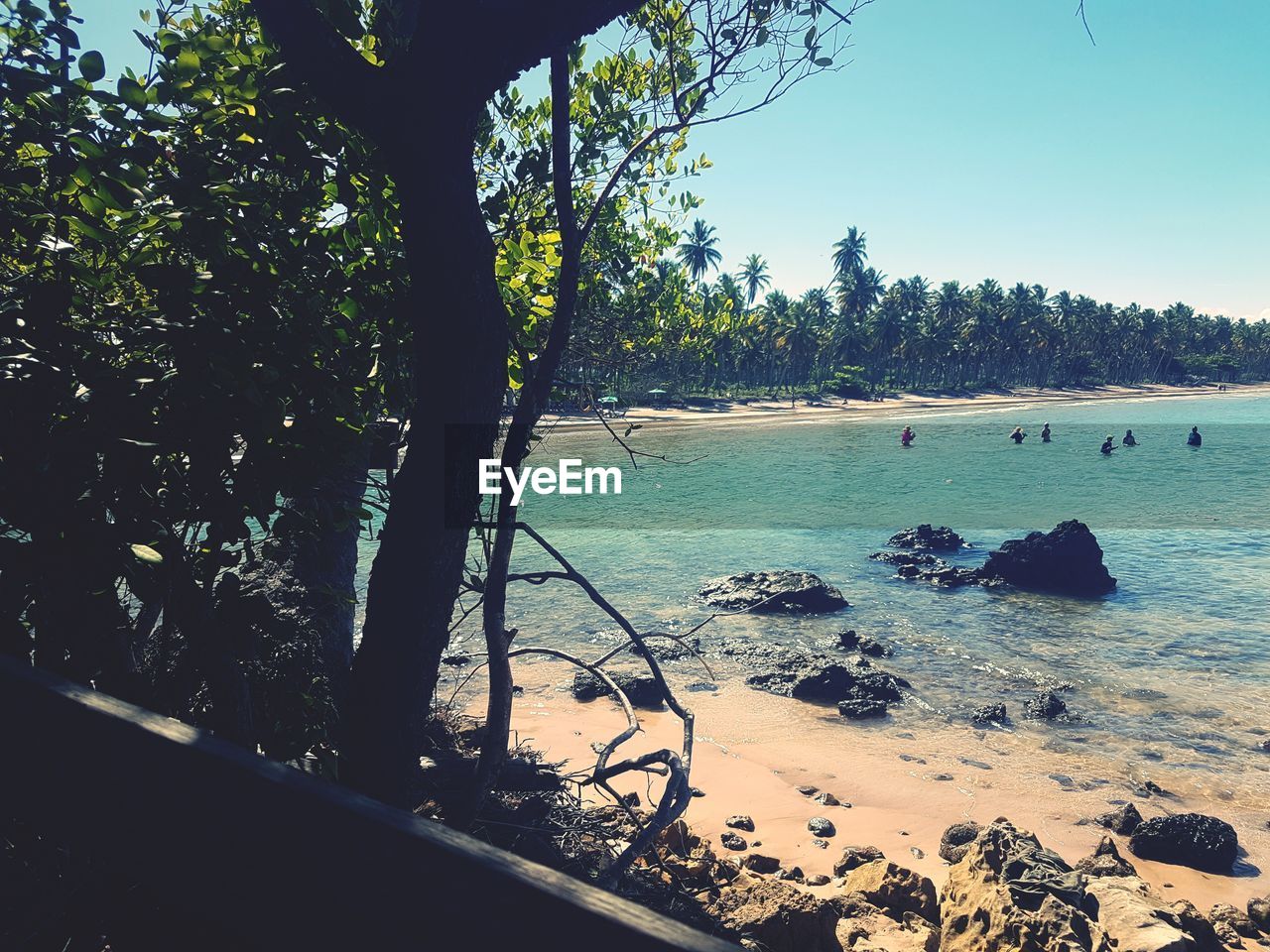 SCENIC VIEW OF BEACH