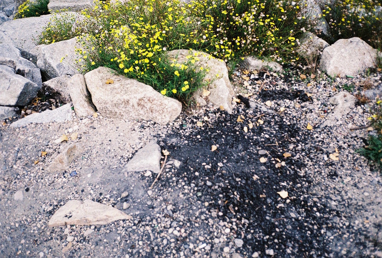 CLOSE-UP OF WATER ON ROCKS