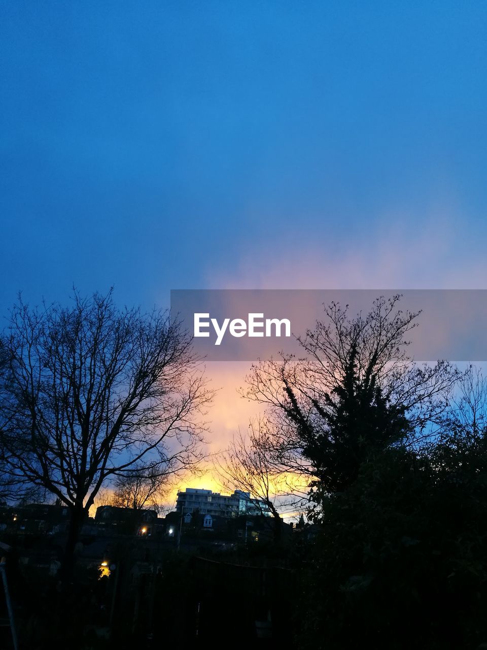 LOW ANGLE VIEW OF SILHOUETTE BARE TREES AGAINST SKY